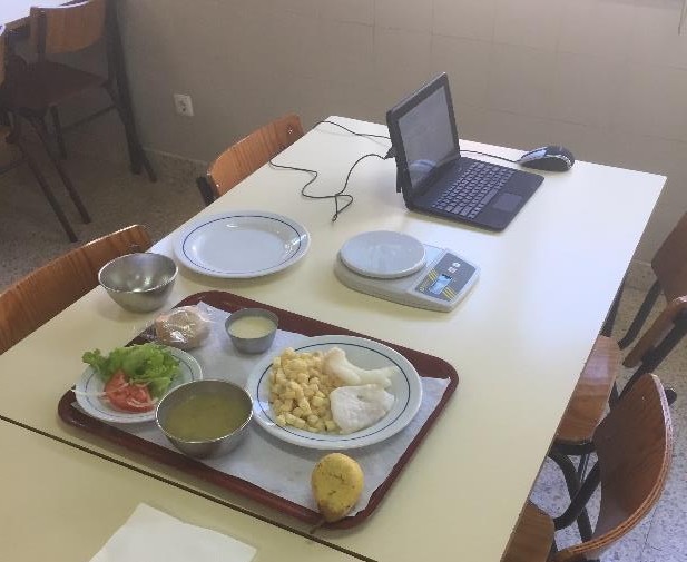 Material e alimentos usados para realizar a atividade