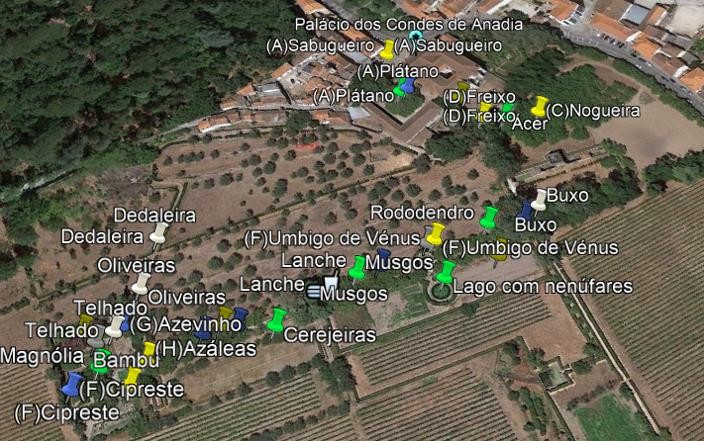 Pontos de paragem nos jardins do Palácio no Google Earth